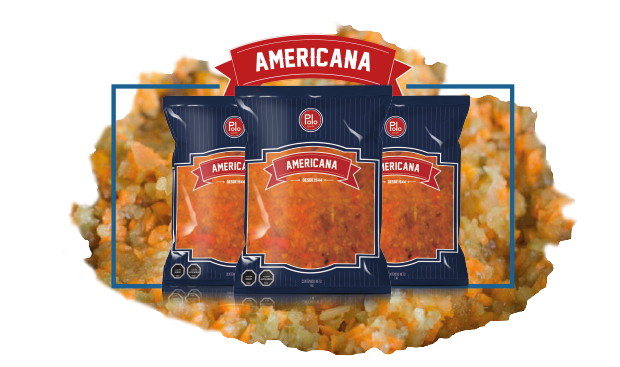 Americana sola Marca Polo